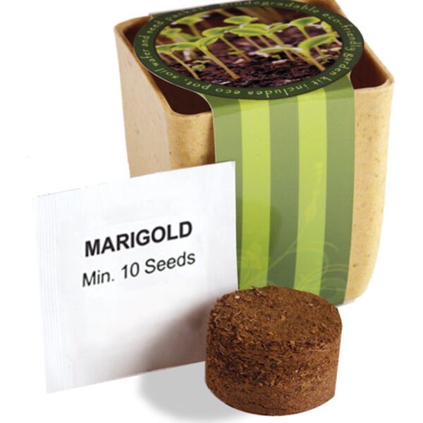 Prime Line Flower Pot Set With Marigold Seeds PL-5010 Flower Pot Set With Marigold Seeds Thumbnail