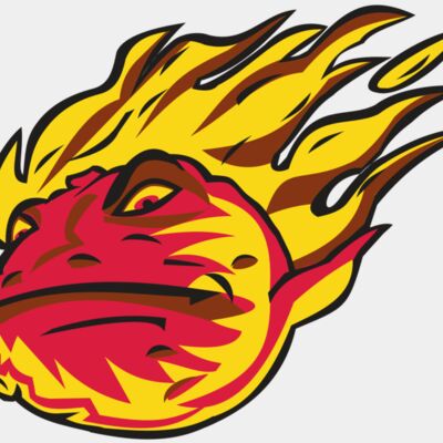 COMET HD0501 RQC Thumbnail