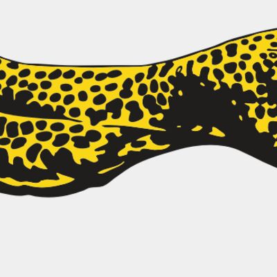 AR CHEETAH 12 RC Thumbnail