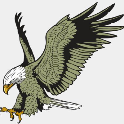 AR10 EAGLE 03 RQC Thumbnail