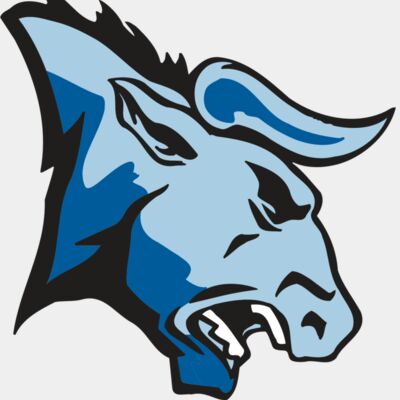 AR BULL 20 RC Thumbnail