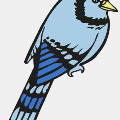 BAW BLUEJAY 08 RC Thumbnail