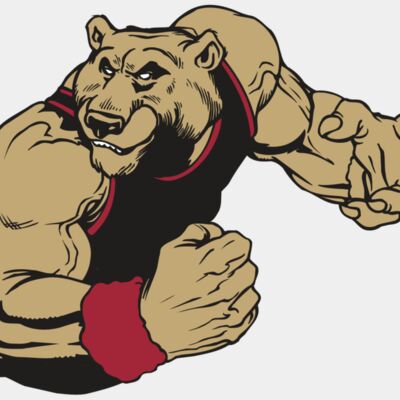 AR BEAR 40 RC Thumbnail