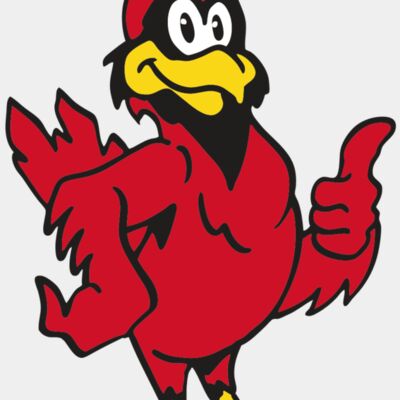 AR CARDINAL 26 RC Thumbnail