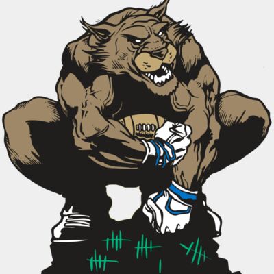 AR WILDCAT 34 RC Thumbnail