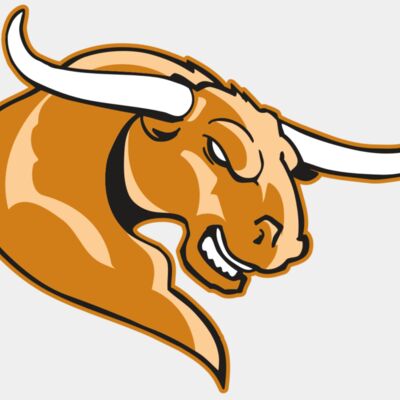 AR BULL 14 RC Thumbnail