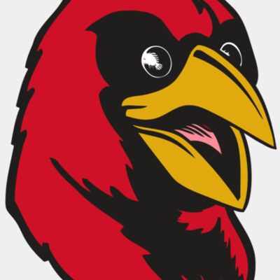 BAW CARDINAL 05 RC Thumbnail