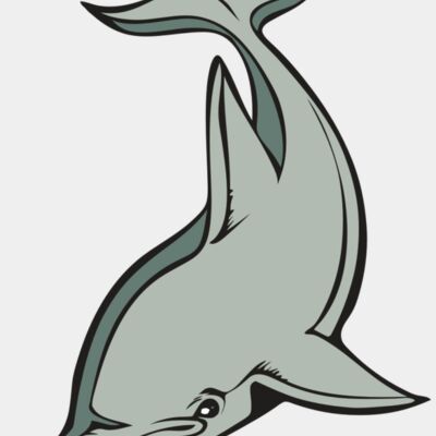 BAW DOLPHIN 01 RC Thumbnail