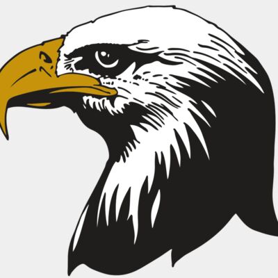 AR EAGLE 87 RC Thumbnail