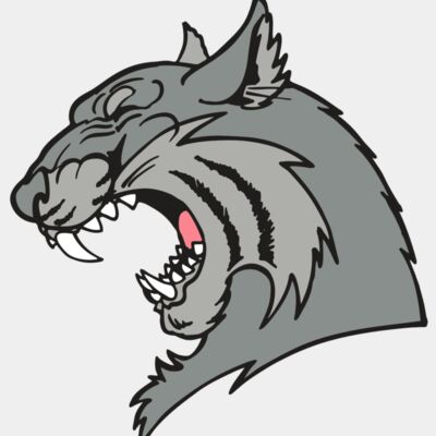 AR WILDCAT 41 RC Thumbnail