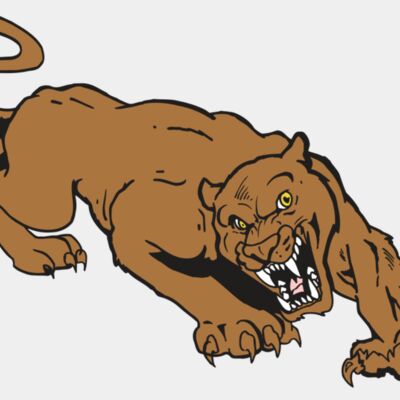 AR5 COUGAR 41 RQC Thumbnail