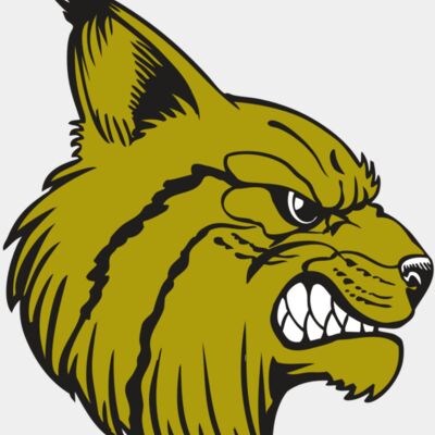 BAW BOBCAT 16 RC Thumbnail