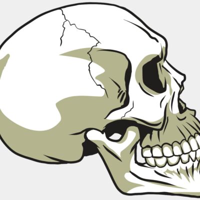 AR24 SKULL 12 RQC Thumbnail