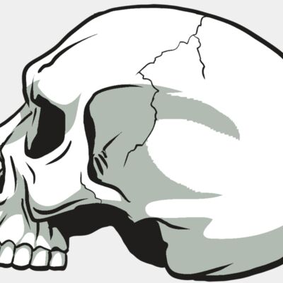 AR24 SKULL 11 RQC Thumbnail