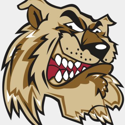 WILDCAT HD0502 RQC Thumbnail