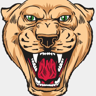 AR13 PNTHR 01 RQC Thumbnail