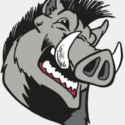 AR RAZORBACK 15 RC Thumbnail