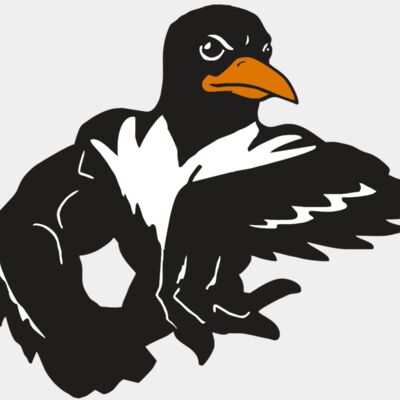 AR ORIOLE 22 RC Thumbnail