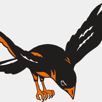 AR ORIOLE 16 RC Thumbnail