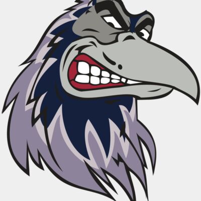 RAVEN HD0504 RQC Thumbnail