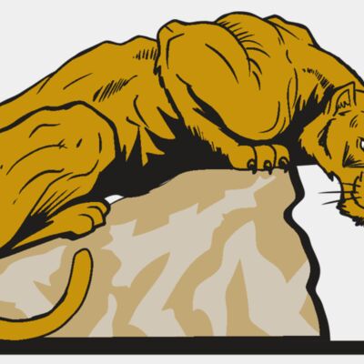 AR10 PANTHER 01 RQC Thumbnail