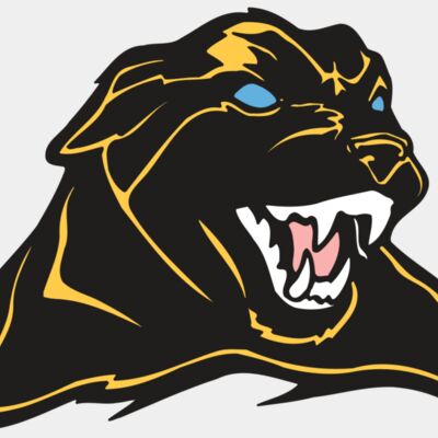 AR COUGAR 42 RC Thumbnail