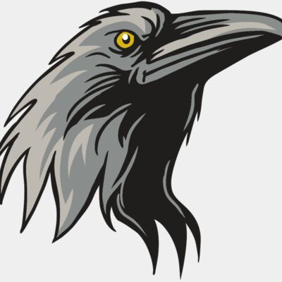 AR31 RAVEN 01 RQC Thumbnail