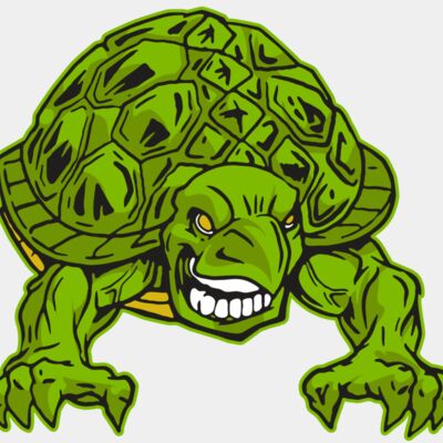 AR31 TURTLE 03 RQC Thumbnail