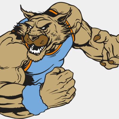 AR WILDCAT 46 RC Thumbnail