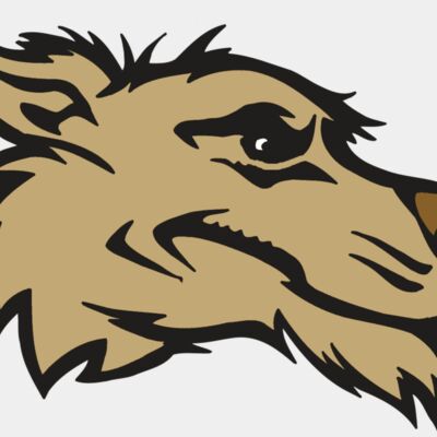 AR5 Wolf 11 RQC Thumbnail