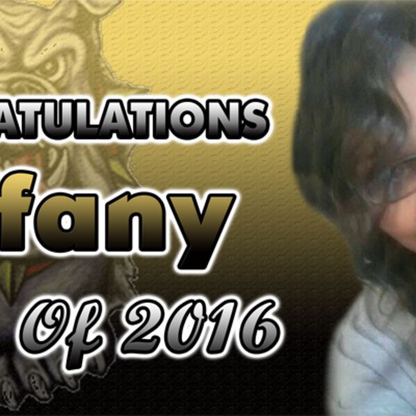 2' x 6' Full Color Vinyl Banner Thumbnail