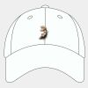 Adult Cool & Dry Sport Cap Thumbnail