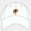 Adult Cool & Dry Sport Cap Thumbnail