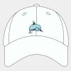 Adult Cool & Dry Sport Cap Thumbnail