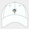 Adult Cool & Dry Sport Cap Thumbnail