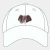 Adult Cool & Dry Sport Cap Thumbnail