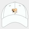 Adult Cool & Dry Sport Cap Thumbnail