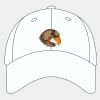 Adult Cool & Dry Sport Cap Thumbnail