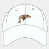 Adult Cool & Dry Sport Cap Thumbnail