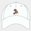 Adult Cool & Dry Sport Cap Thumbnail