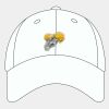 Adult Cool & Dry Sport Cap Thumbnail