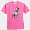 Youth T-Shirt Thumbnail