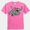 Youth T-Shirt Thumbnail