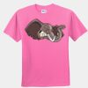 Youth T-Shirt Thumbnail