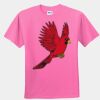 Youth T-Shirt Thumbnail