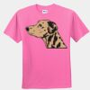 Youth T-Shirt Thumbnail