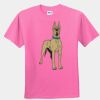 Youth T-Shirt Thumbnail
