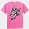 Youth T-Shirt Thumbnail