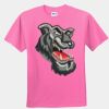 Youth T-Shirt Thumbnail